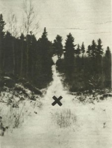 deserted-log-trail